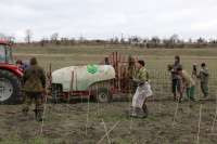 В Севастополе продолжается закладка новых виноградников