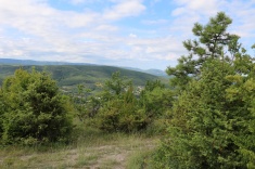 Севастопольское лесничество усиливает патрулирование леса