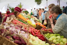 Социальные ярмарки помогут снизить цены на продукты в Севастополе 