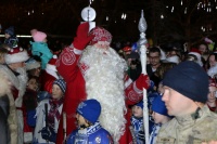 В Севастополе открыта главная новогодняя елка города