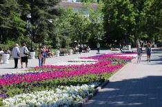 В Севастополе продолжается высадка цветов и озеленение территории города