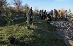 На территории Института биологии южных морей высадили более ста растений