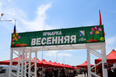 Стартовала большая продовольственная ярмарка «Весенняя»