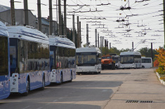 В Севастополе доля государственного общественного транспорта выросла до 40%