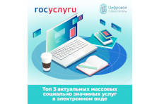 ТОП-3 актуальных массовых социально значимых услуг в электронном виде