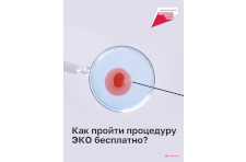 С начала этого года в Севастополе 173 семьи получили возможность экстракорпорального оплодотворения