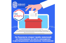 На Госуслугах открыт приём заявлений на дистанционное электронное голосование и голосование по месту нахождения 