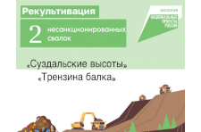 В Севастополе в текущем году осуществлялись работы по ликвидации 2 несанкционированных свалок 